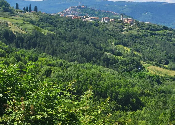 Domus In Monte 別荘